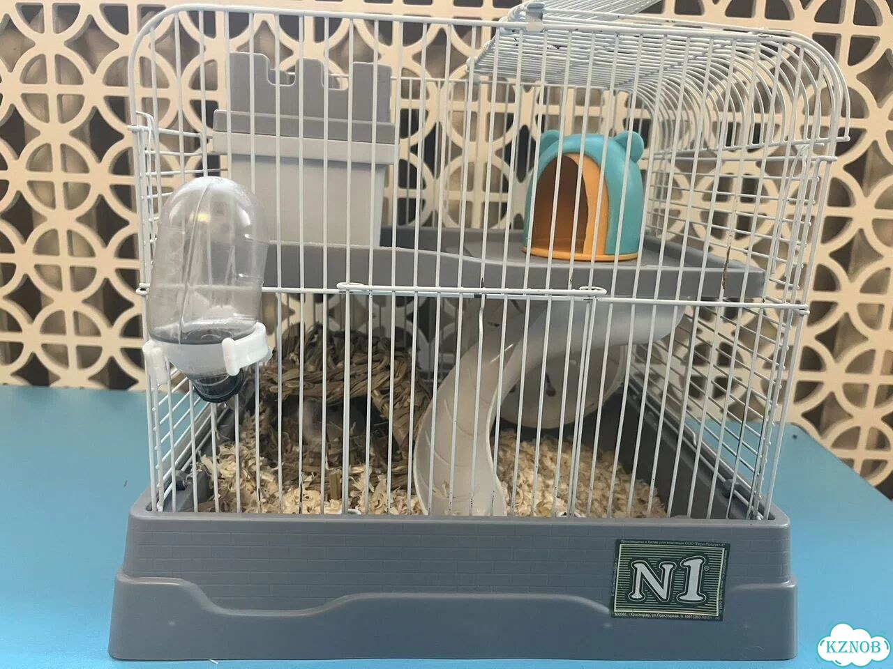 Клетка для джунгарского хомяка фото 1