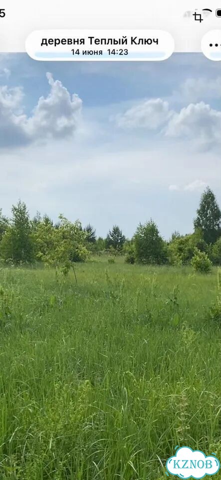 Участок 10 сот. (ИЖС) фото 1