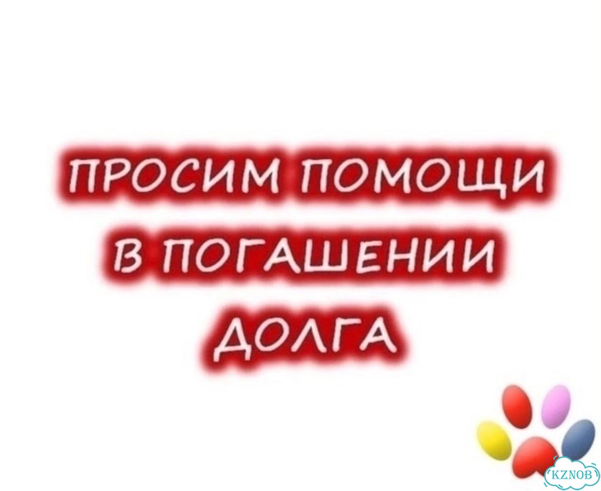 Люди нужна ваша помощь фото 1