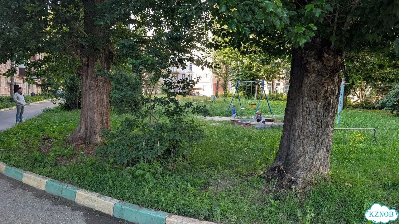3-к. квартира, 53 м², 2/5 эт. фото 34