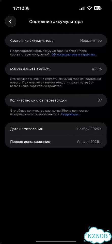 iPhone 17 Pro Max, 256 ГБ, eSIM фото 7