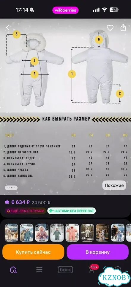 Зимний комбинезон 74 фото 3