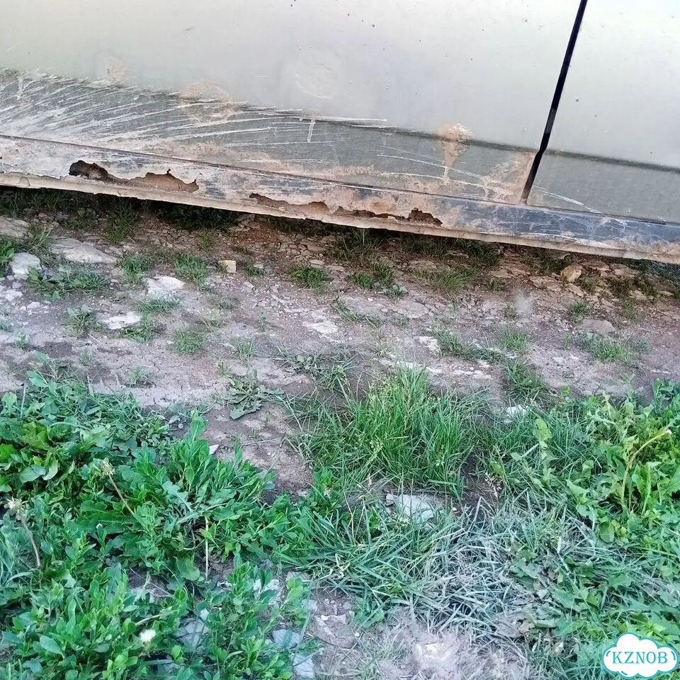Кузов целиком фото 1