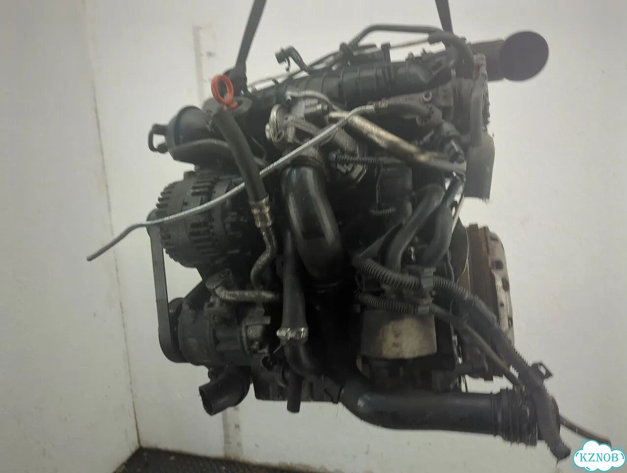 Двигатель Volkswagen Golf 5 BKD фото 4