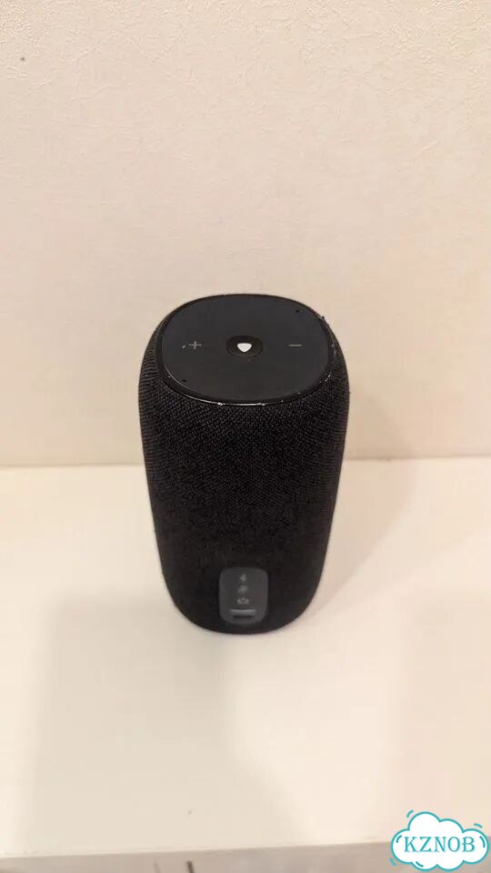Jbl link portable с алисой фото 2