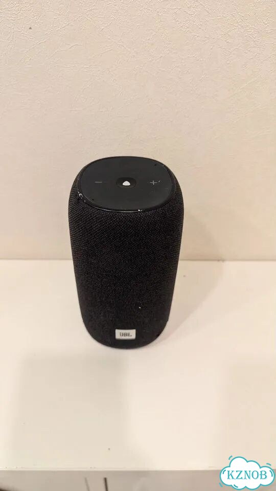Jbl link portable с алисой фото 3