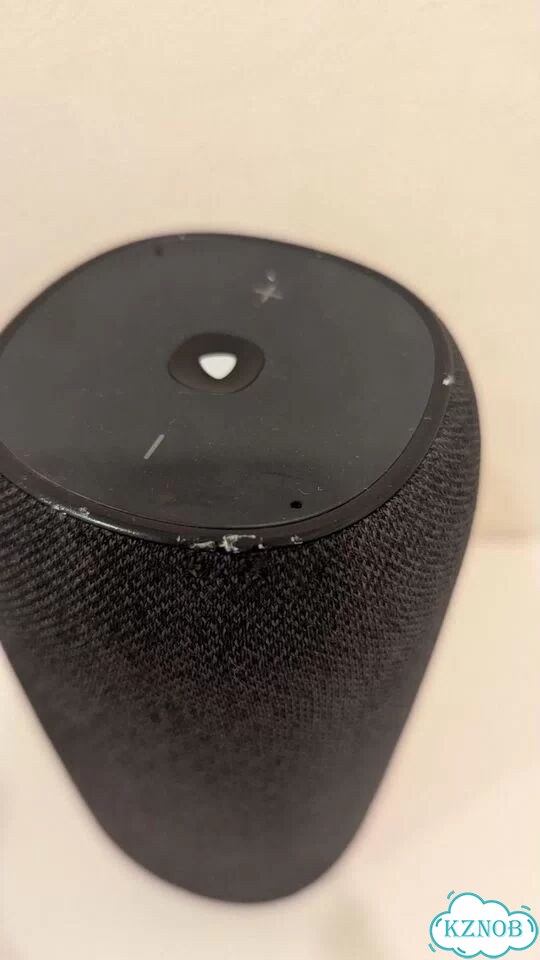 Jbl link portable с алисой фото 4