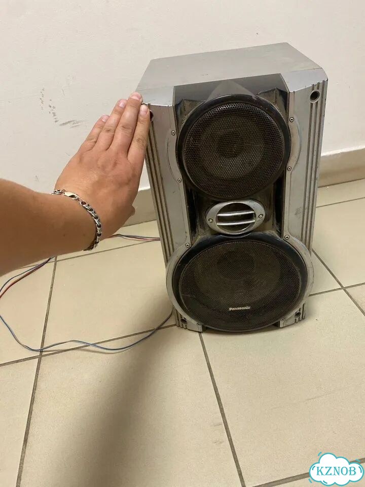 Колонка от центра Panasonic SB-VK92 фото 1