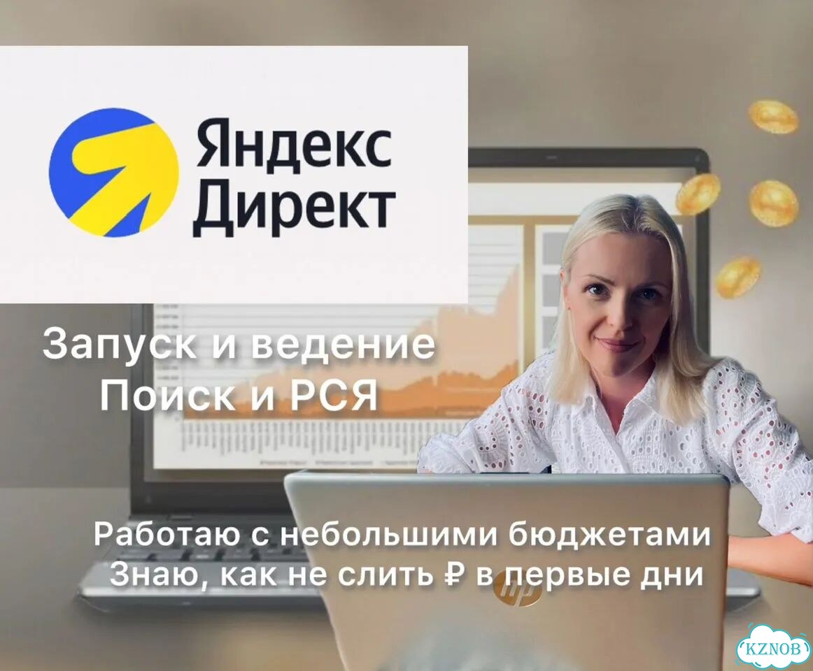 Яндекс Директ. Настройка и ведение фото 1