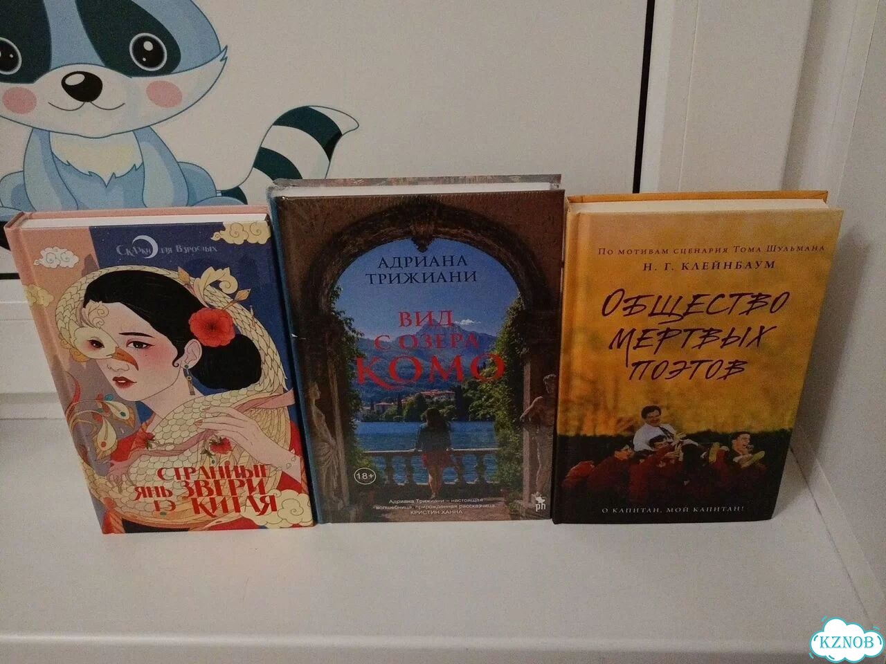 Книги фото 1