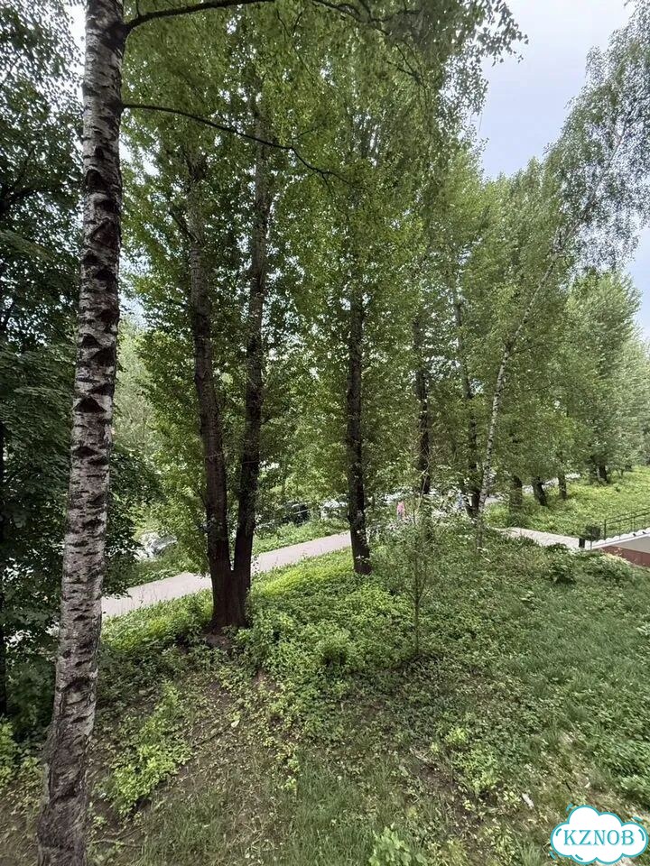 1-к. квартира, 28,2 м², 2/9 эт. фото 20