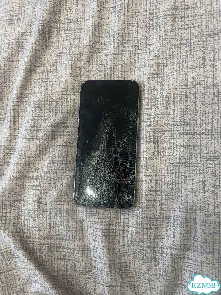 iPhone 15 Pro Max, 256 ГБ фото 2