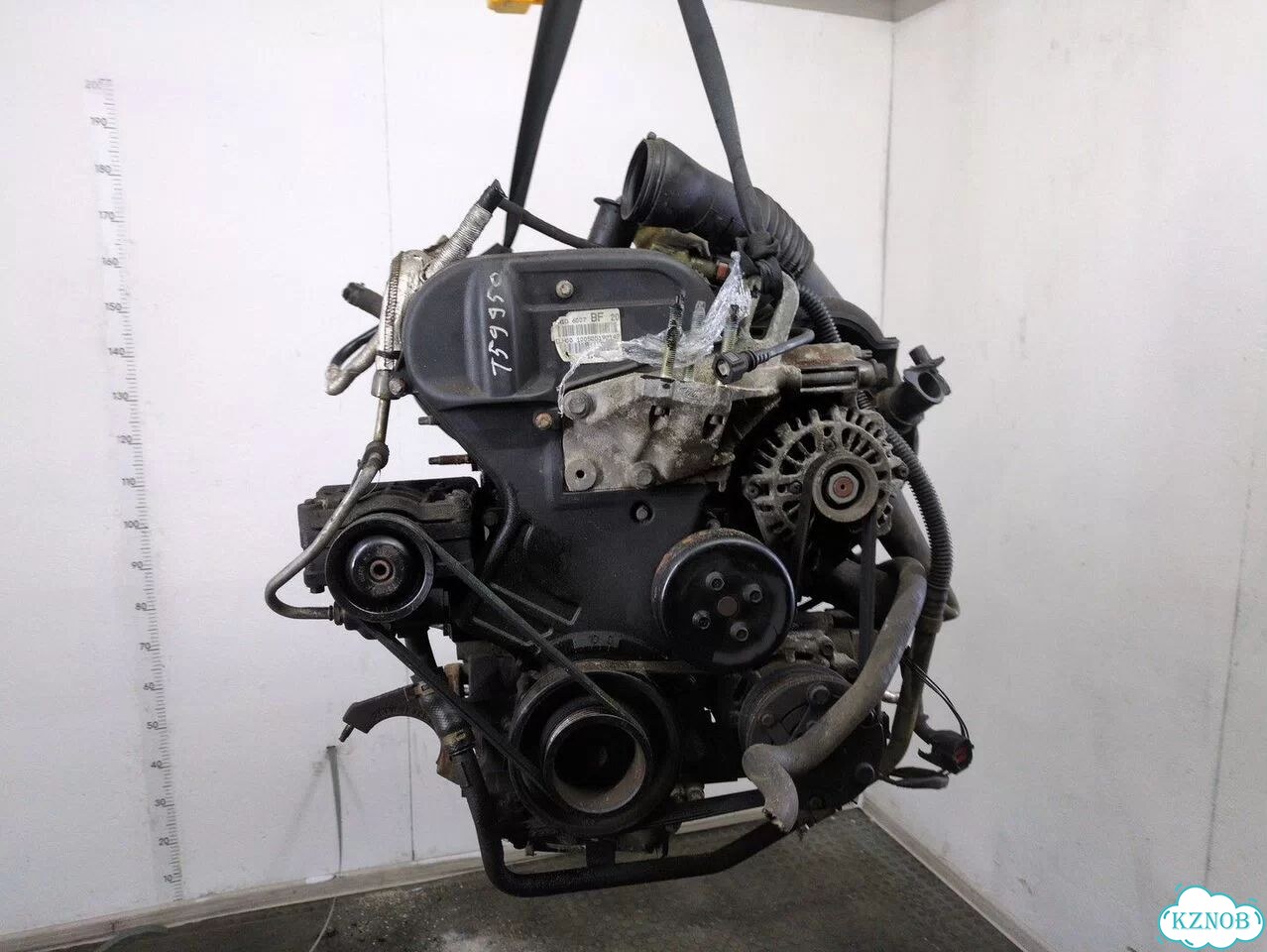 Двигатель Ford Fiesta FXJ фото 4