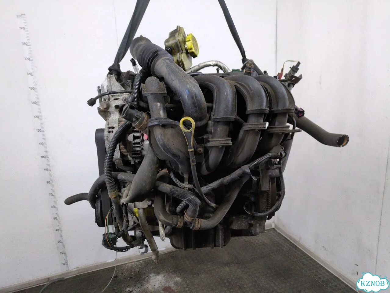 Двигатель Ford Fiesta FXJ фото 5
