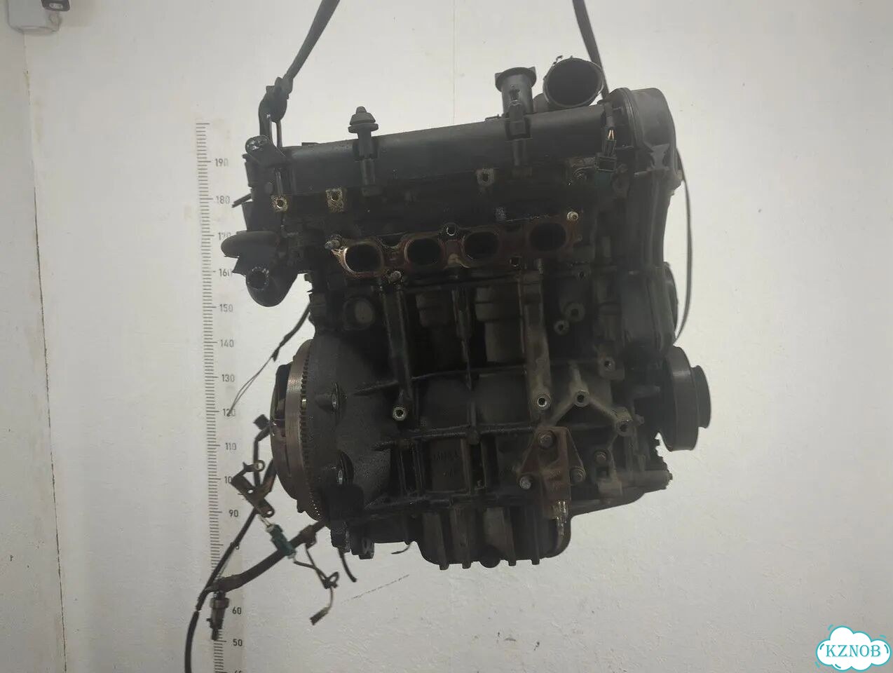 Двигатель Ford Fiesta FUJ фото 3
