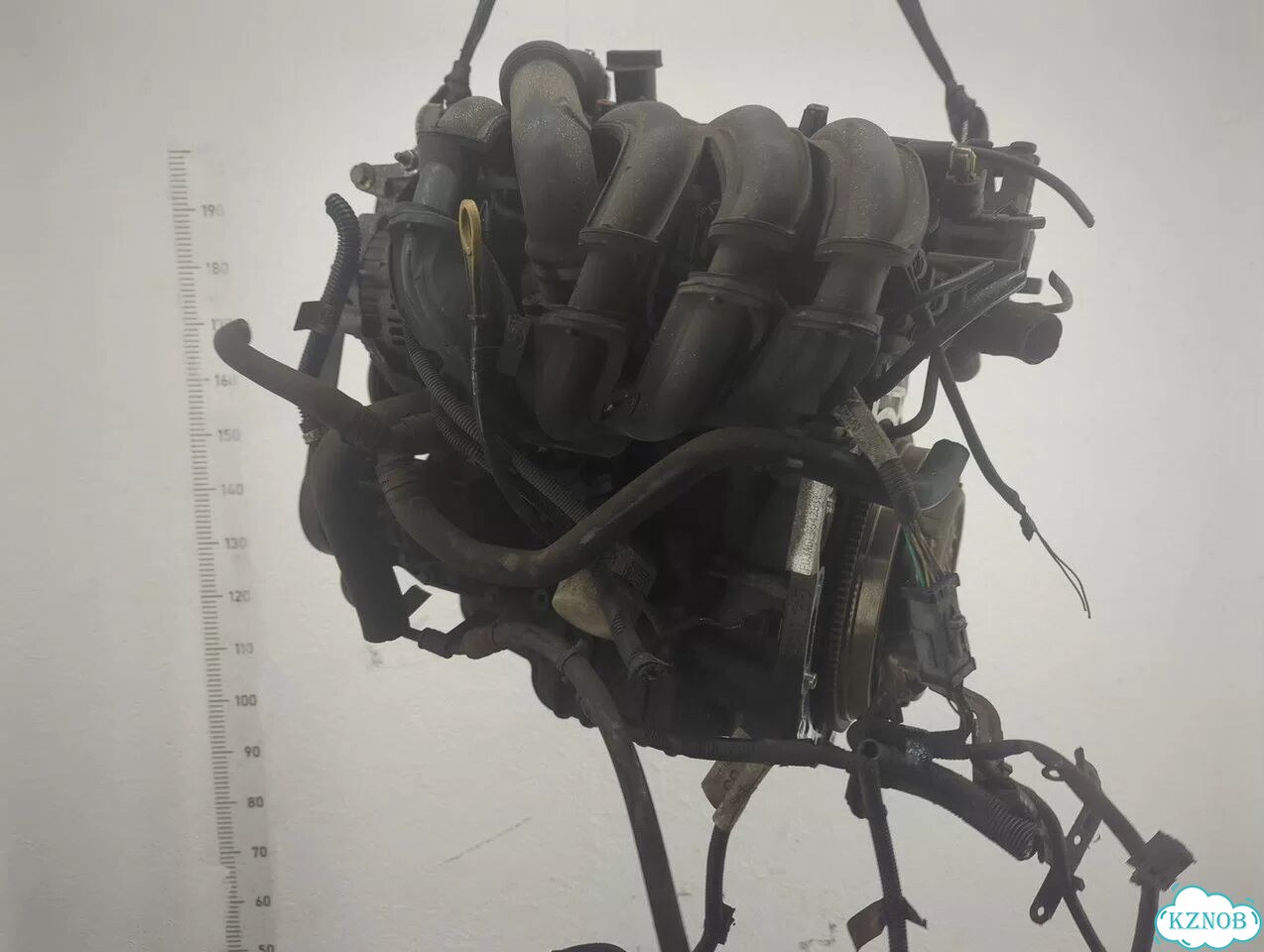 Двигатель Ford Fiesta FUJ фото 5
