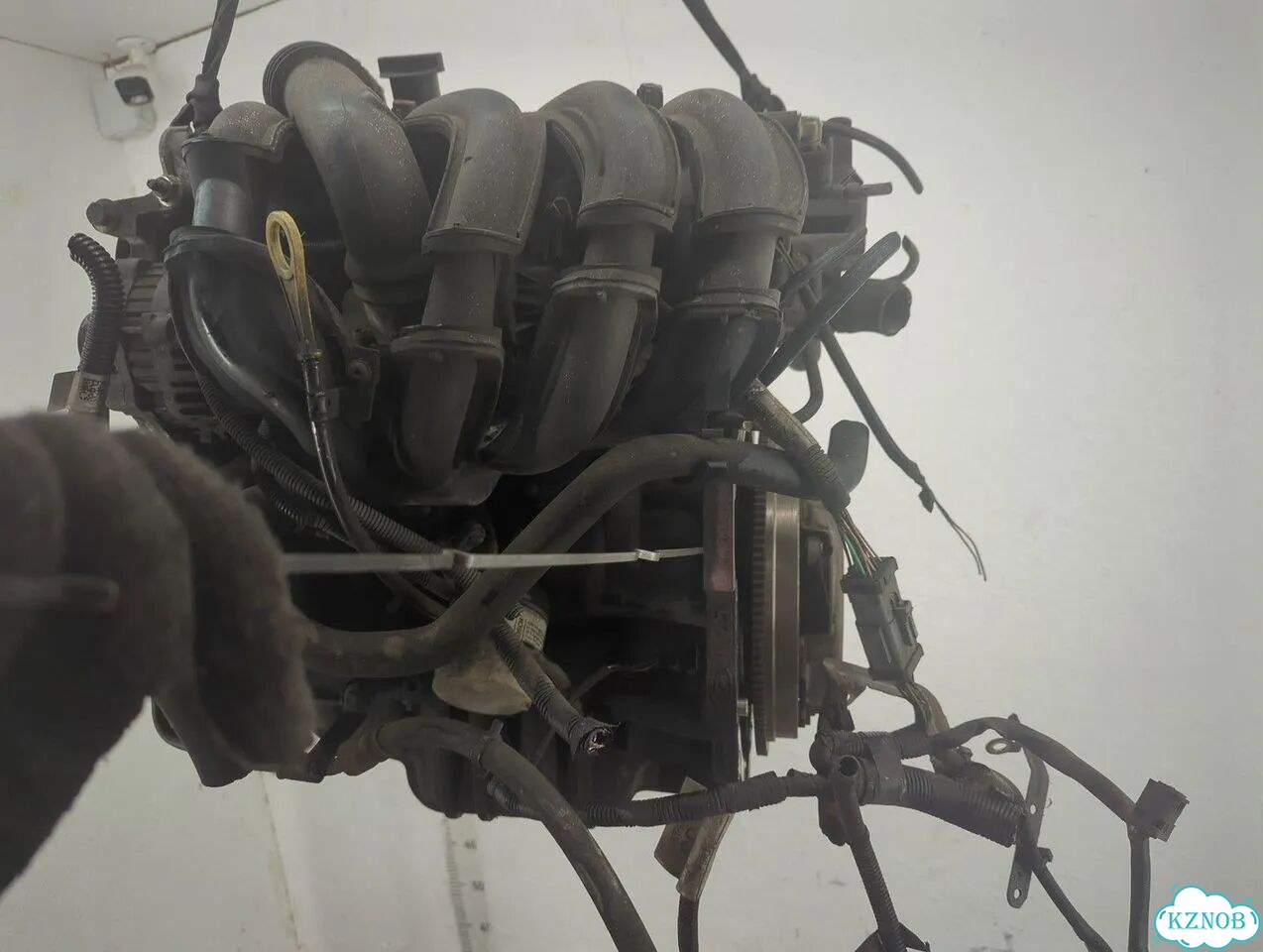 Двигатель Ford Fiesta FUJ фото 9