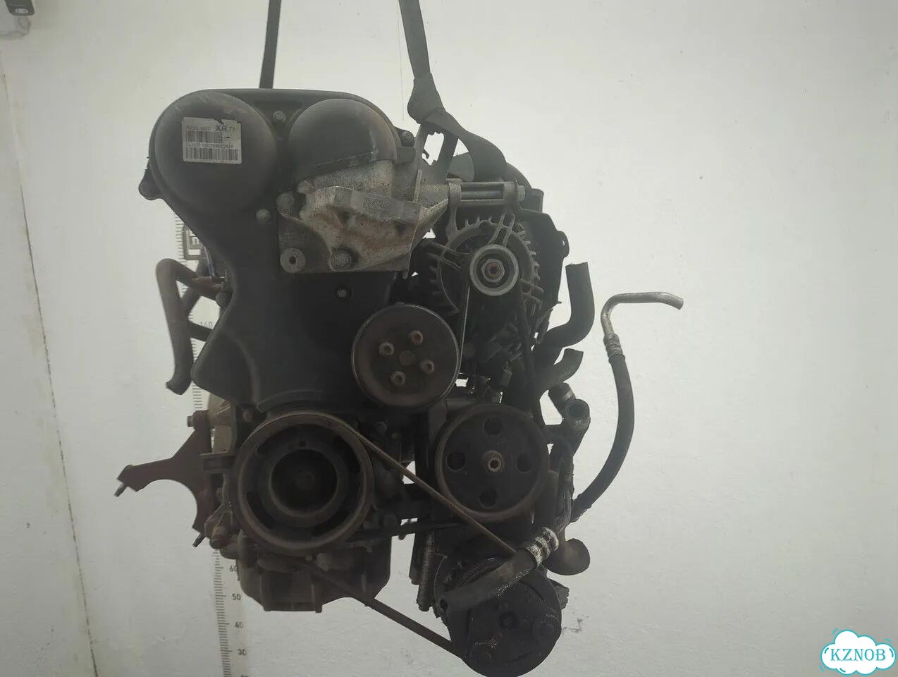 Двигатель Ford Focus 2 shda, shdc фото 1