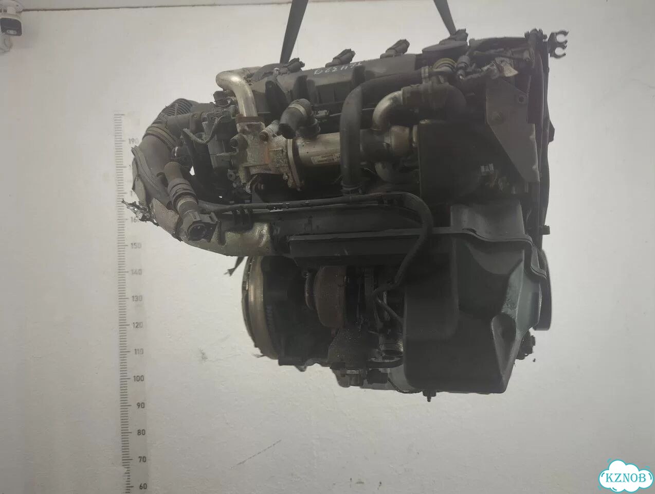 Двигатель Ford S-Max qxwa, qxwb, qxwc фото 5