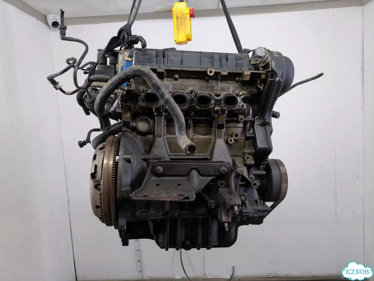 Двигатель Ford Focus 2 hxda, hxdb фото 1