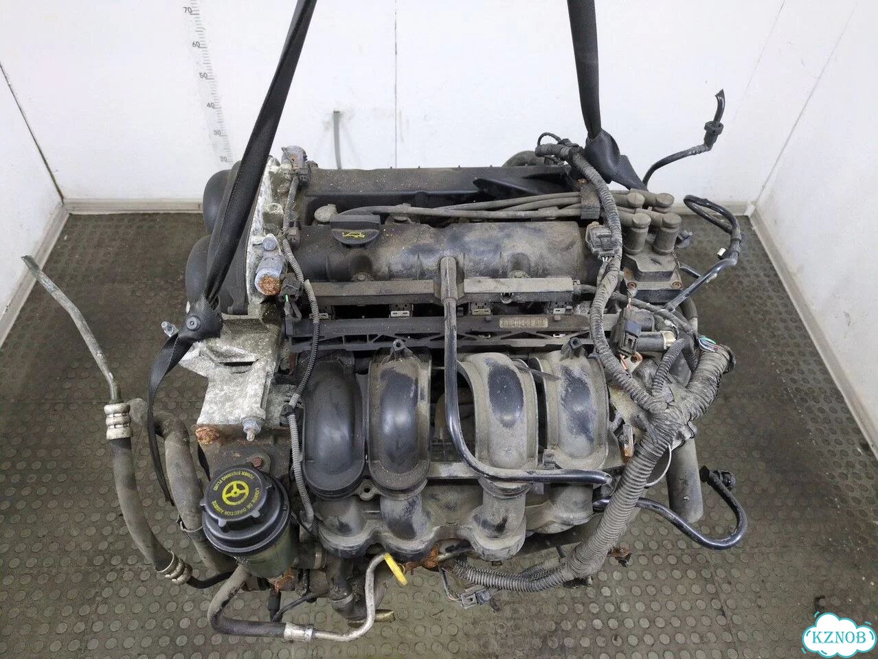 Двигатель Ford Focus 2 hxda, hxdb фото 10