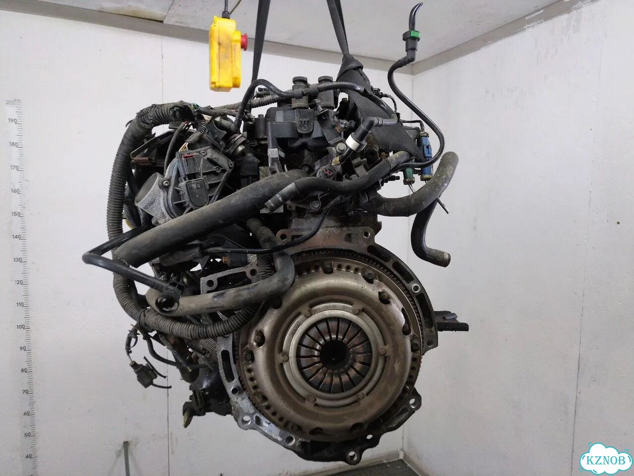 Двигатель Ford Focus 2 hxda, hxdb фото 4