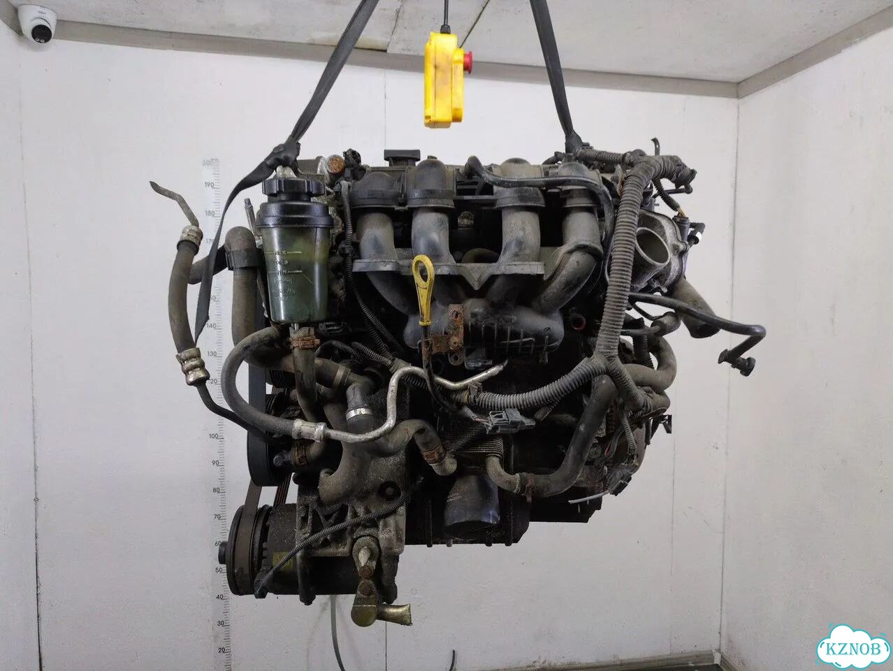 Двигатель Ford Focus 2 hxda, hxdb фото 6