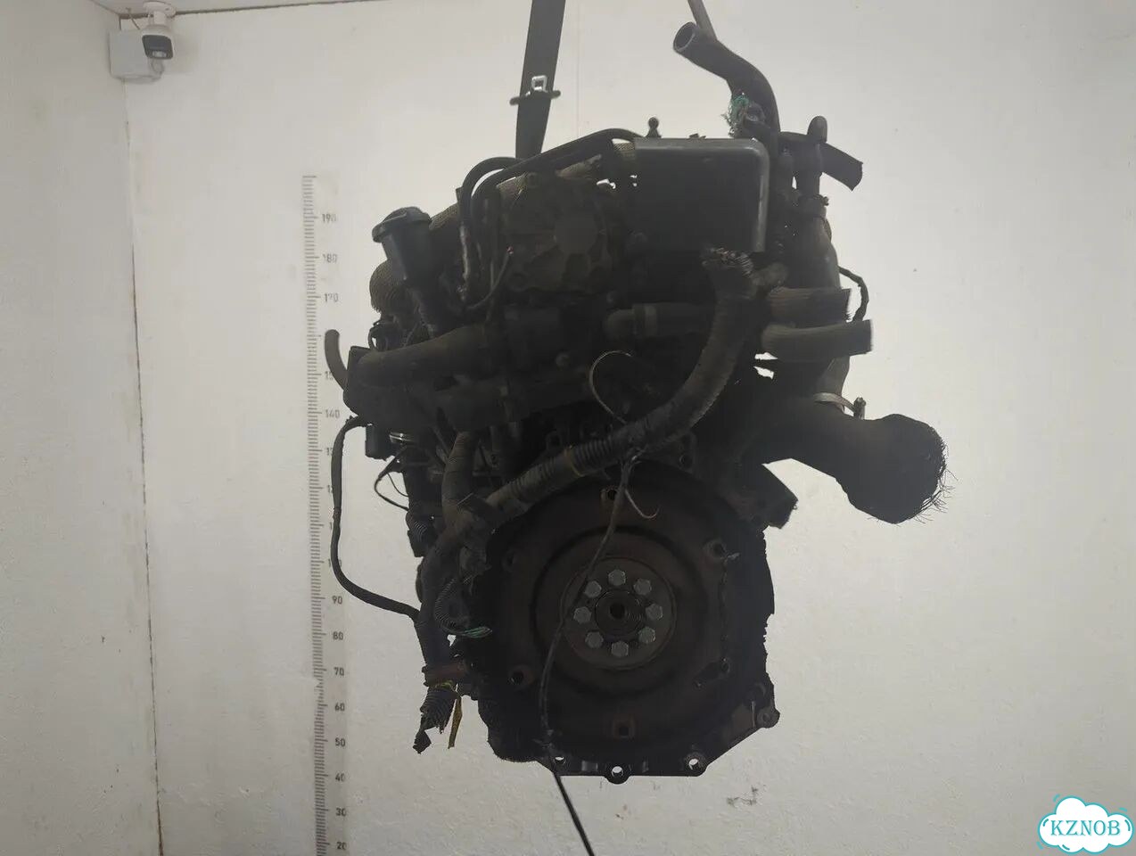Двигатель Land Rover Freelander 2 224DT фото 4