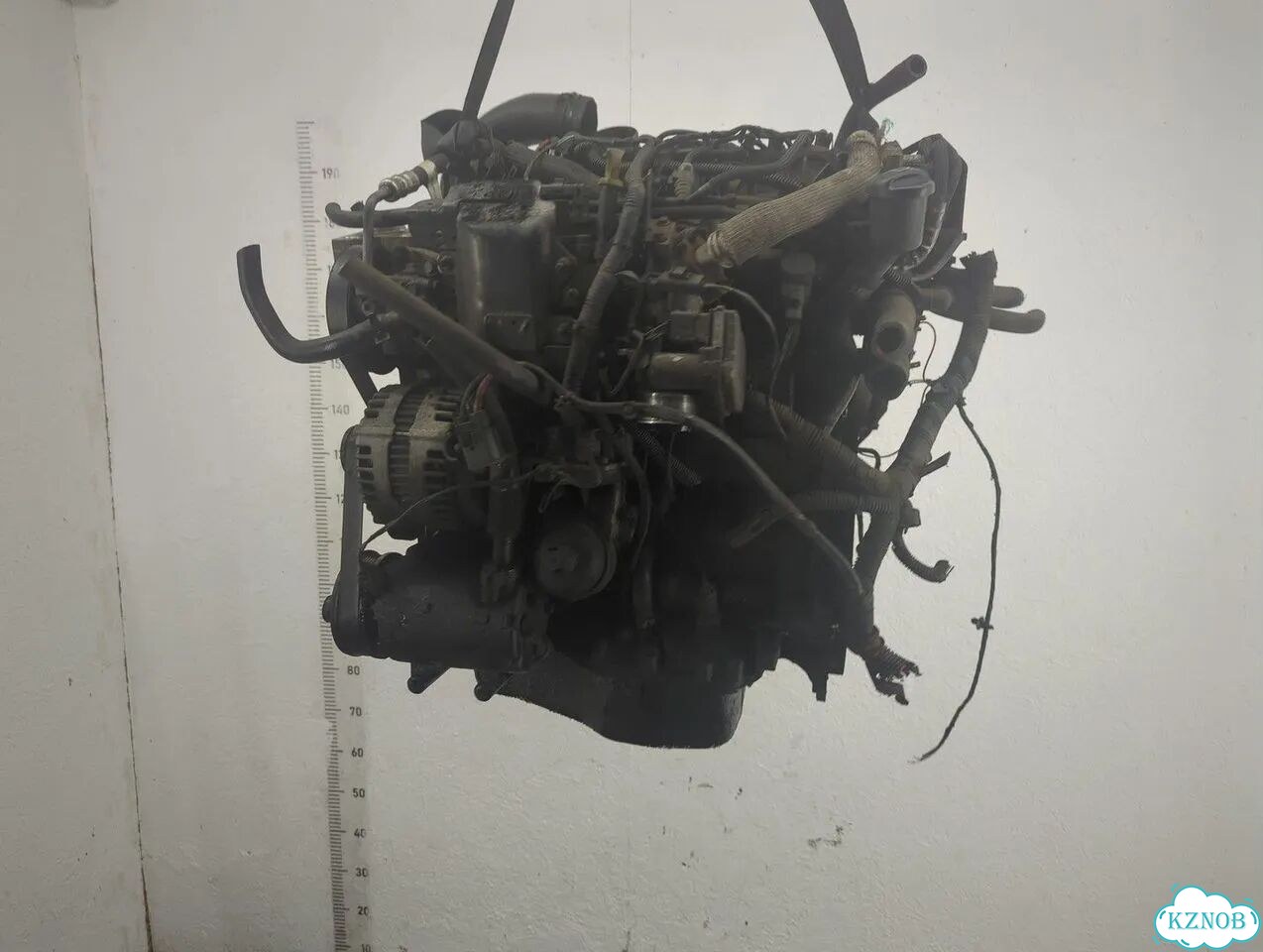 Двигатель Land Rover Freelander 2 224DT фото 5