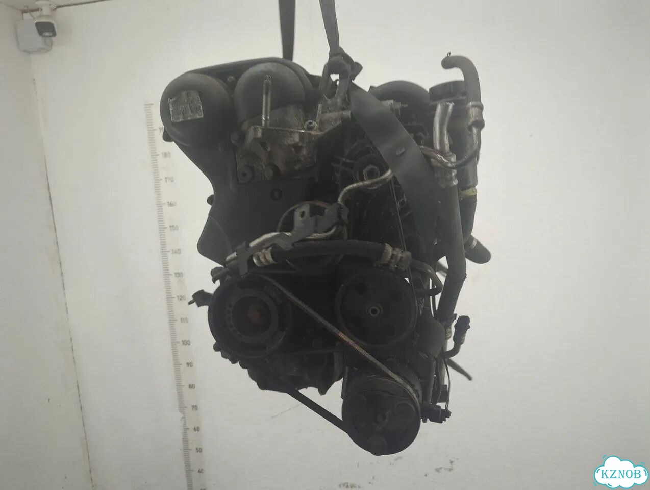 Двигатель Ford Focus 2 hwda, hwdb фото 1