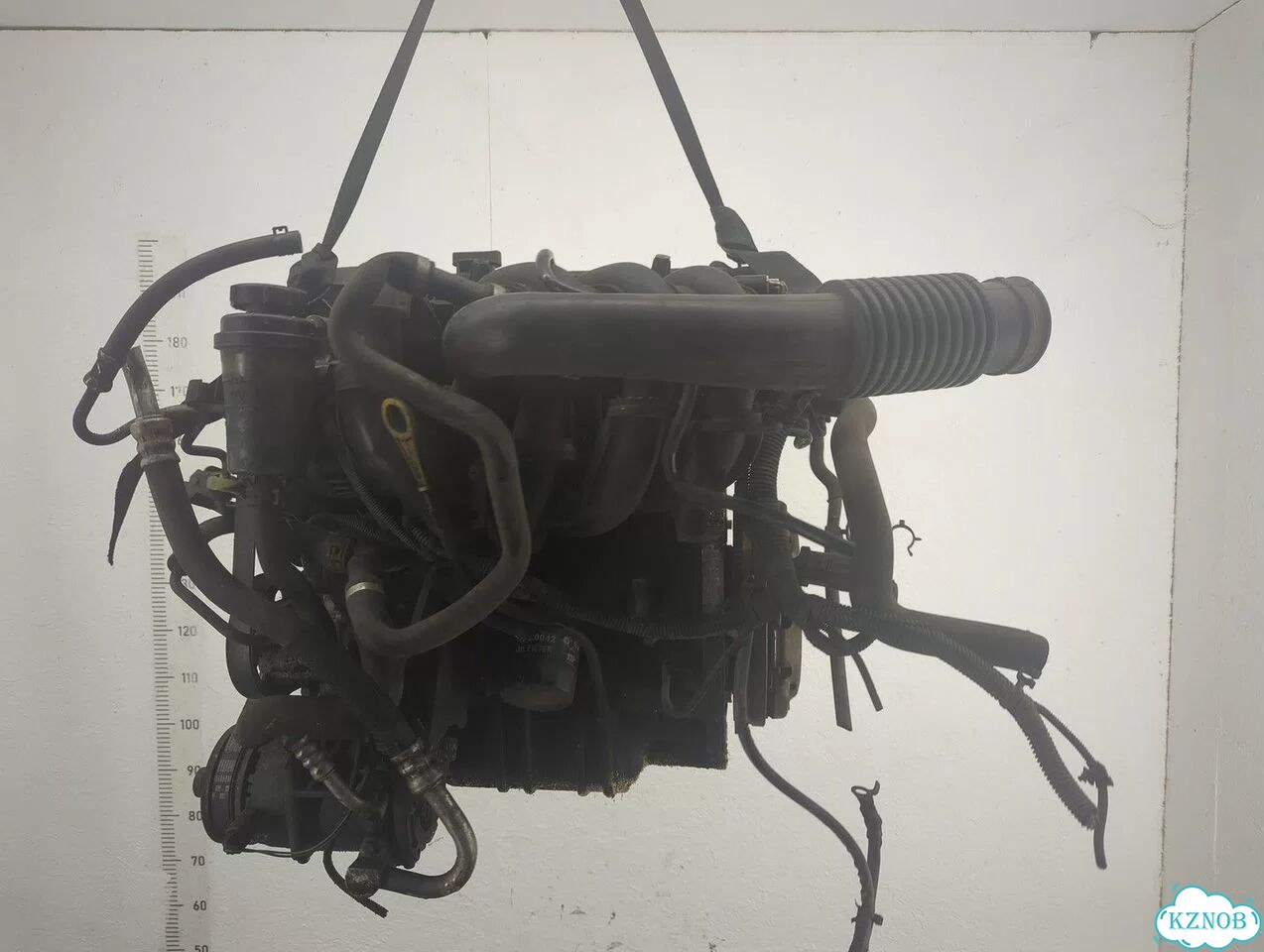 Двигатель Ford Focus 2 hwda, hwdb фото 4