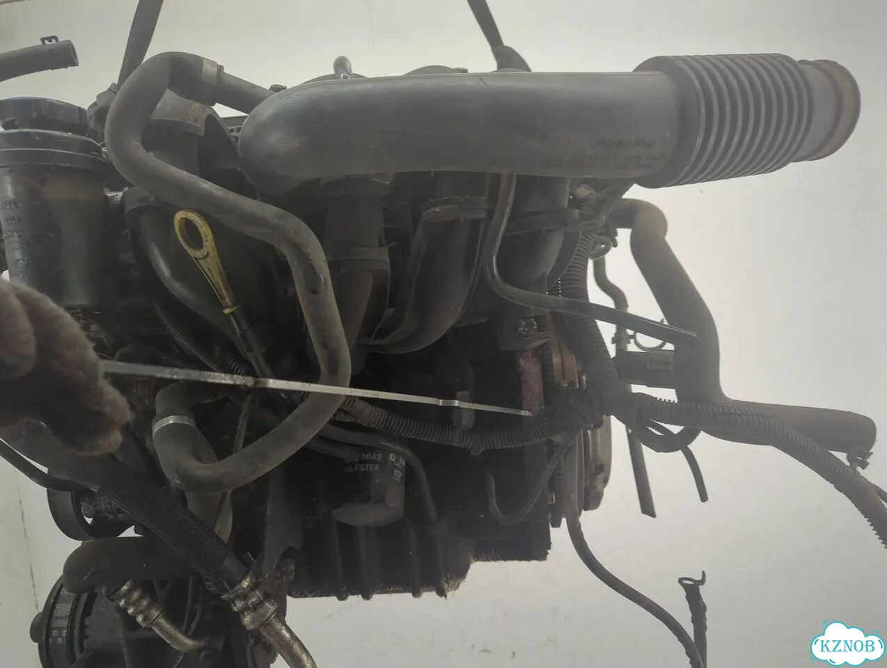 Двигатель Ford Focus 2 hwda, hwdb фото 8