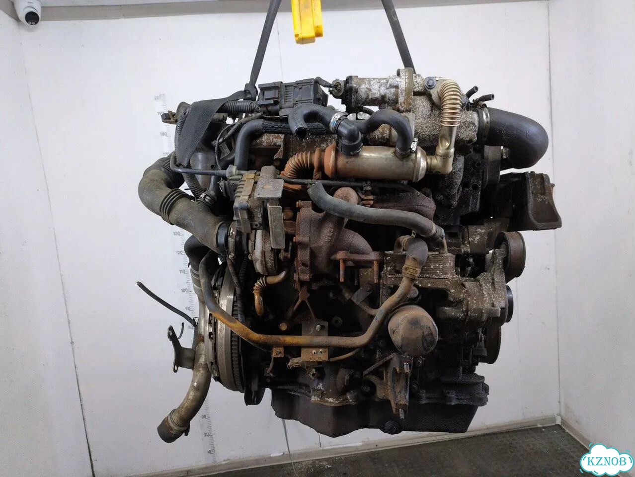Двигатель Ford Focus 2 kkda, kkdb фото 1