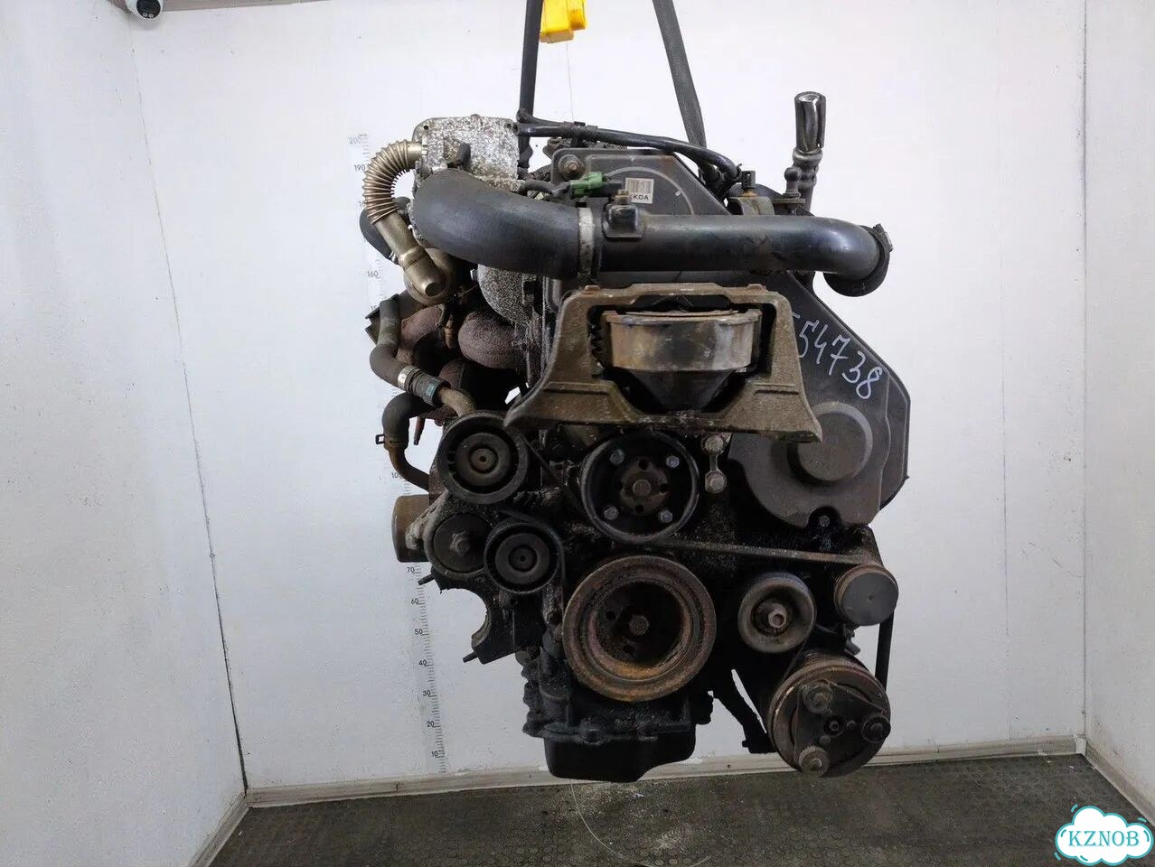 Двигатель Ford Focus 2 kkda, kkdb фото 2