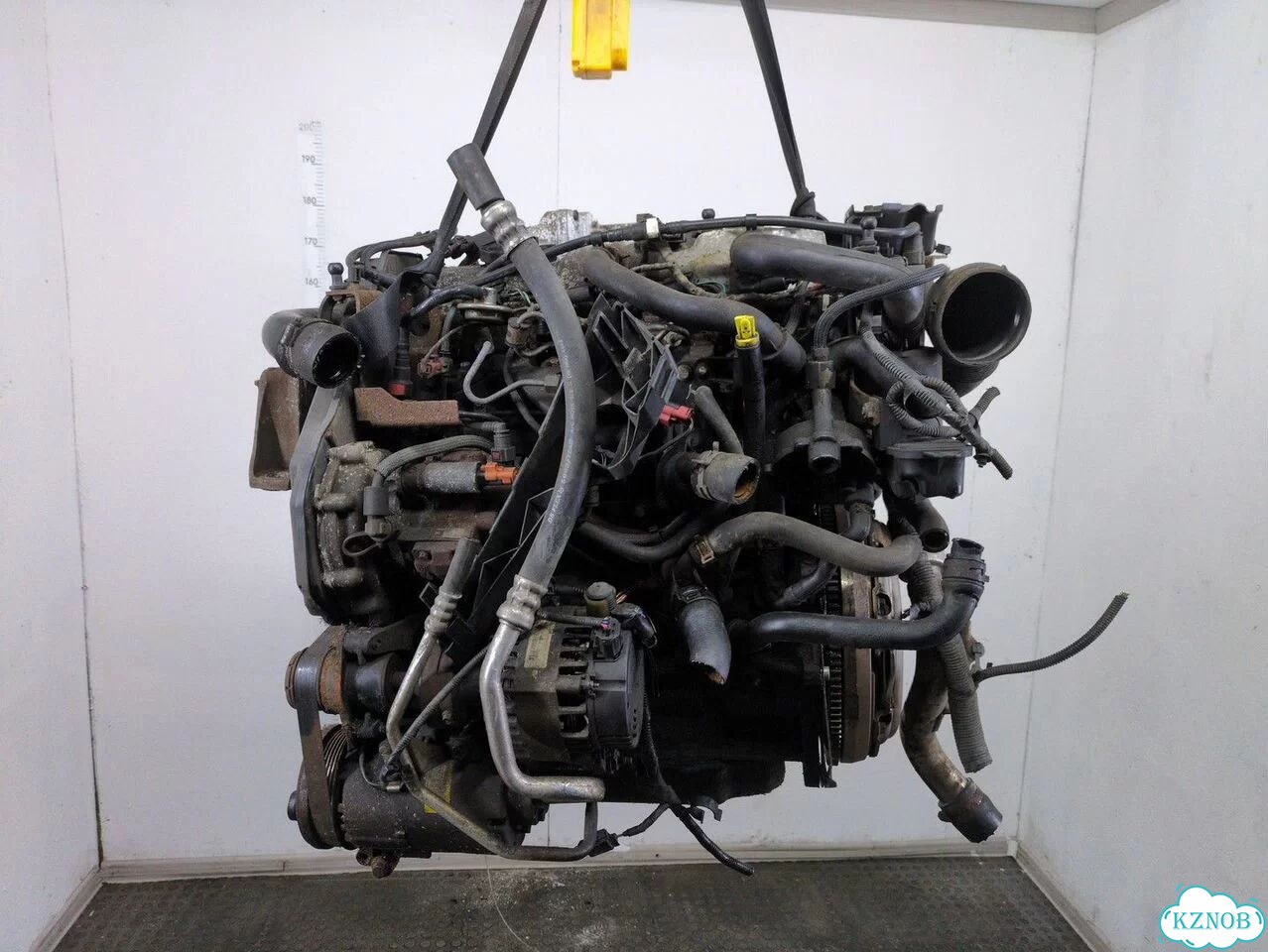 Двигатель Ford Focus 2 kkda, kkdb фото 3