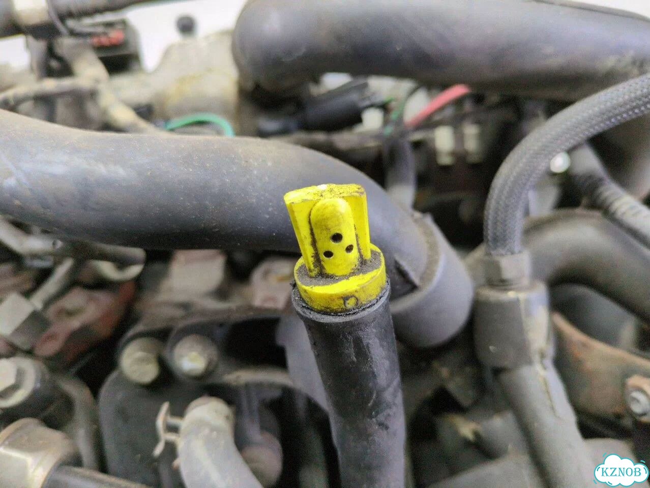 Двигатель Ford Focus 2 kkda, kkdb фото 4