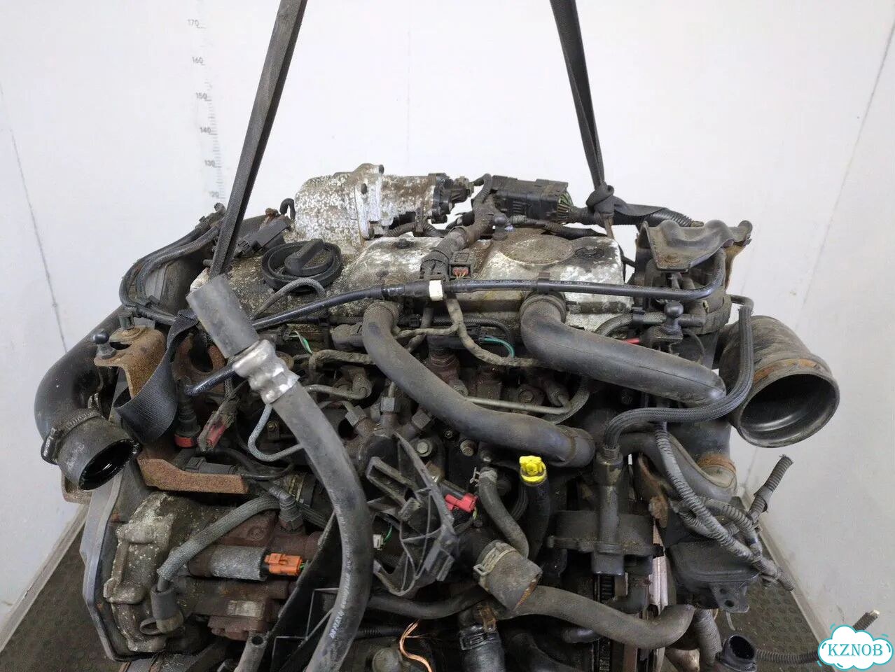 Двигатель Ford Focus 2 kkda, kkdb фото 7