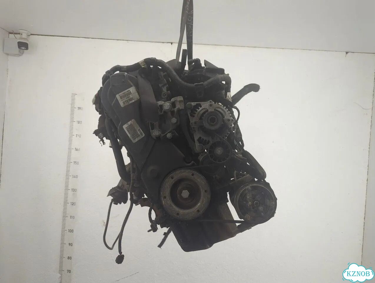 Двигатель Ford Focus 2 G6DA, G6DB, G6DD, G6DE, G6DF фото 1