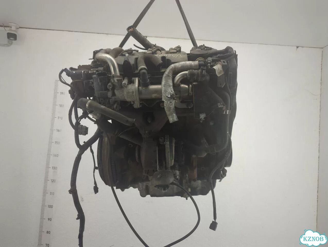 Двигатель Ford Focus 2 G6DA, G6DB, G6DD, G6DE, G6DF фото 3