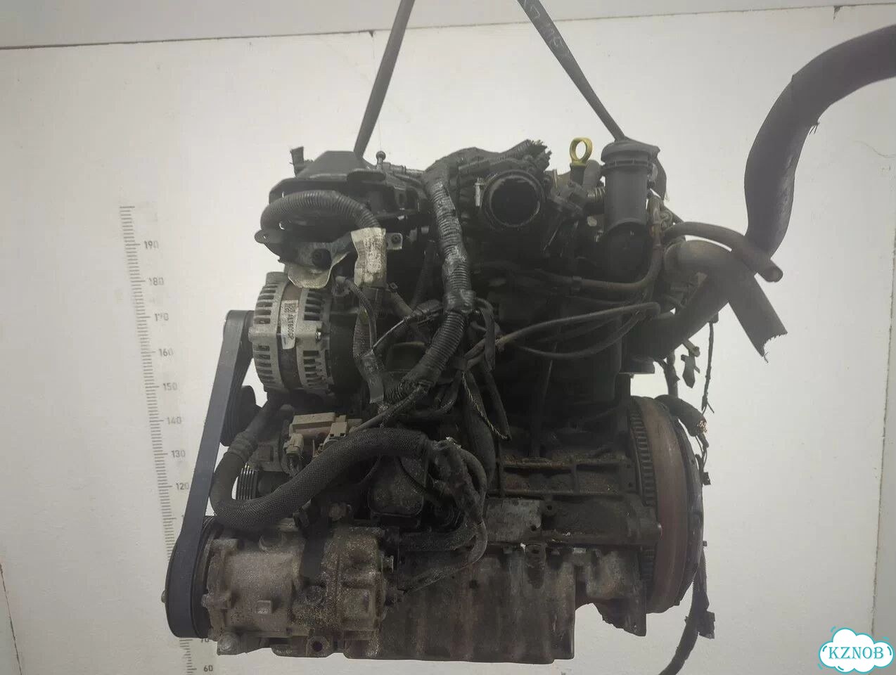 Двигатель Ford Focus 2 G6DA, G6DB, G6DD, G6DE, G6DF фото 5