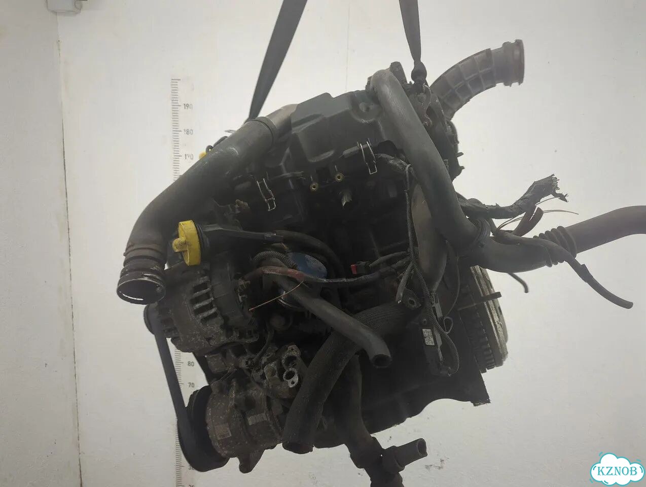 Двигатель Renault Megane 3 K9K 832 фото 5
