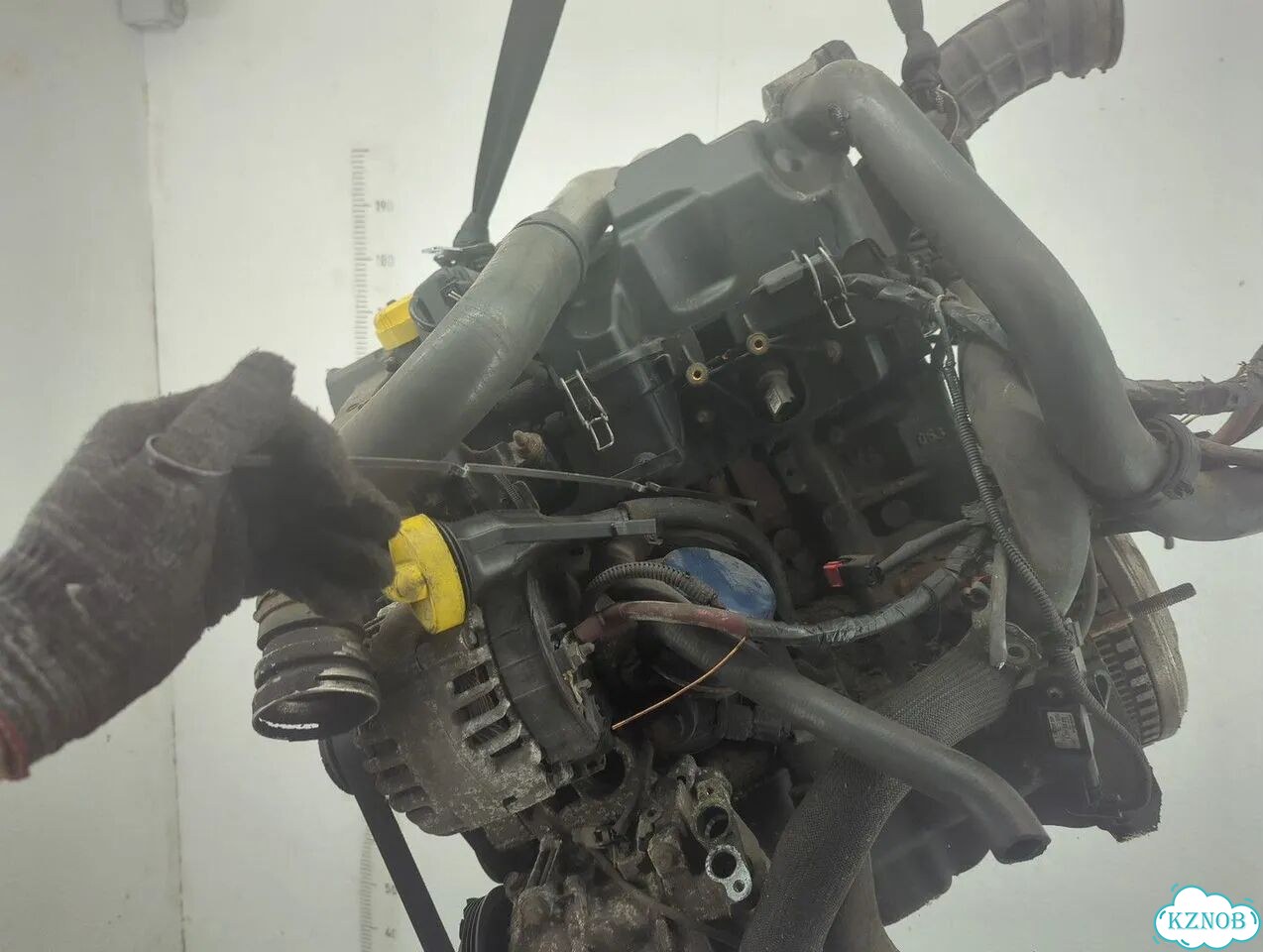 Двигатель Renault Megane 3 K9K 832 фото 9