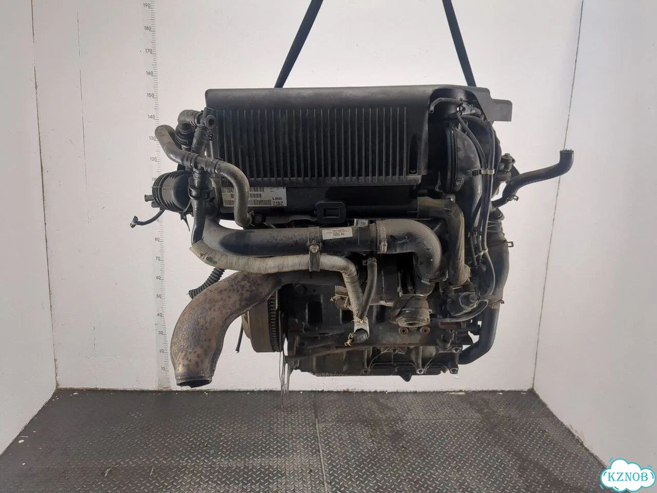 Двигатель Land Rover Freelander 1 TD4 204D3 фото 3