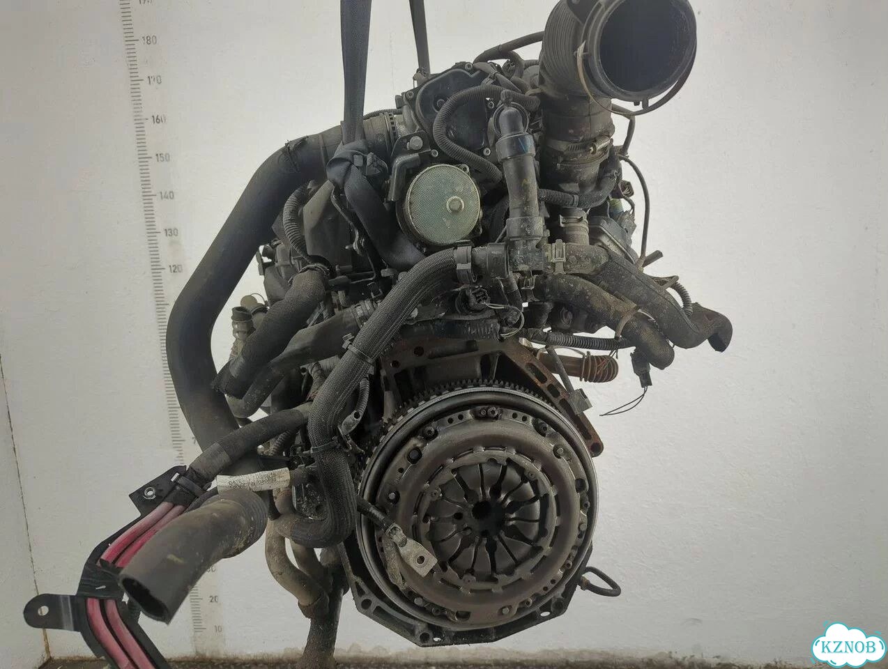 Двигатель Renault Scenic K9K 656 фото 3