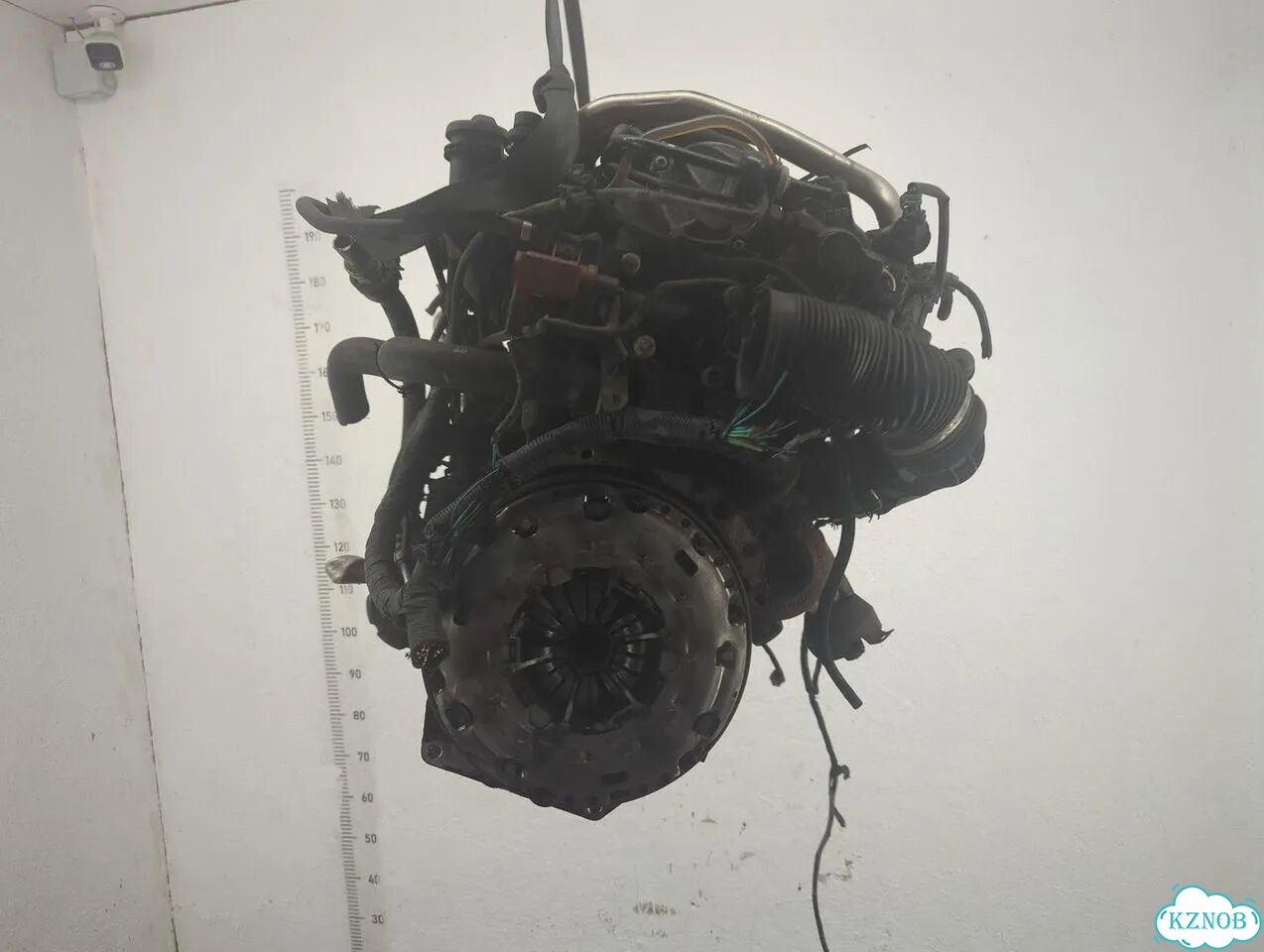Двигатель Ford Kuga G6DG; ukda фото 4