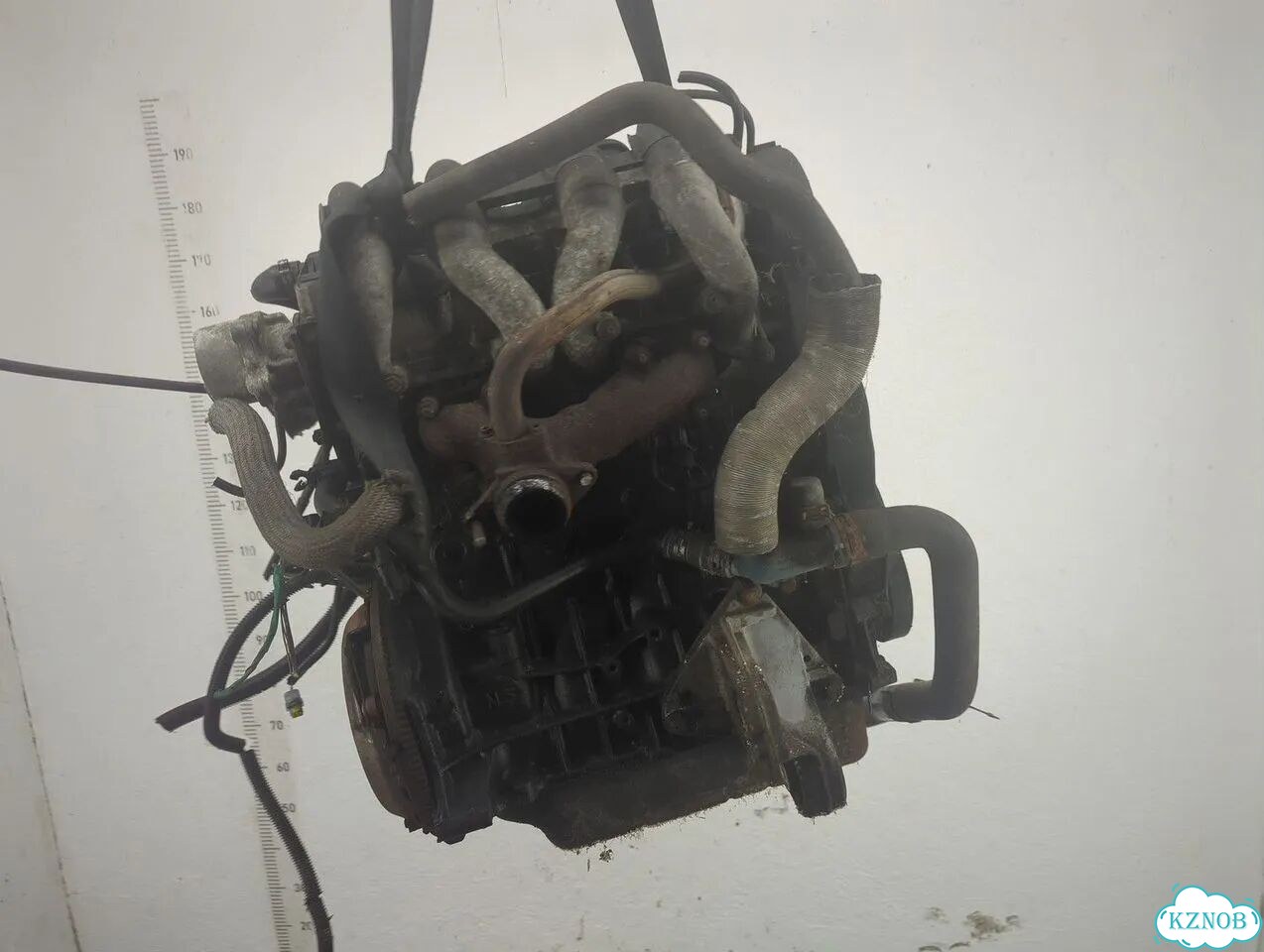 Двигатель Citroen Jumpy (Dispatch) WJY фото 2