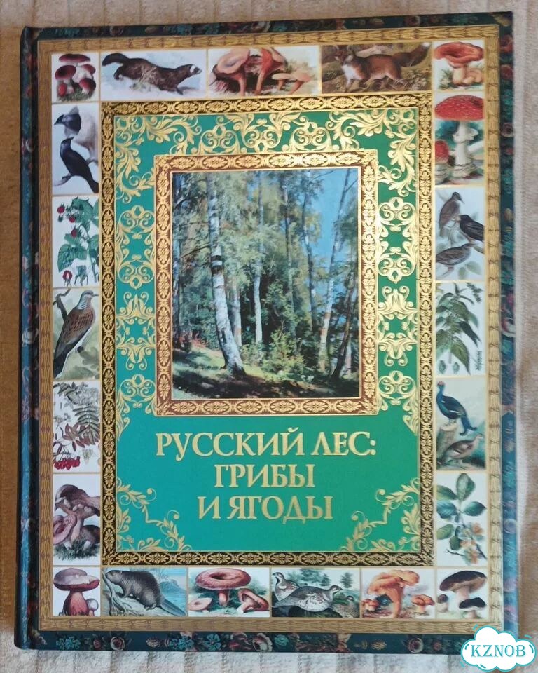 Русский лес: Грибы и ягоды фото 1