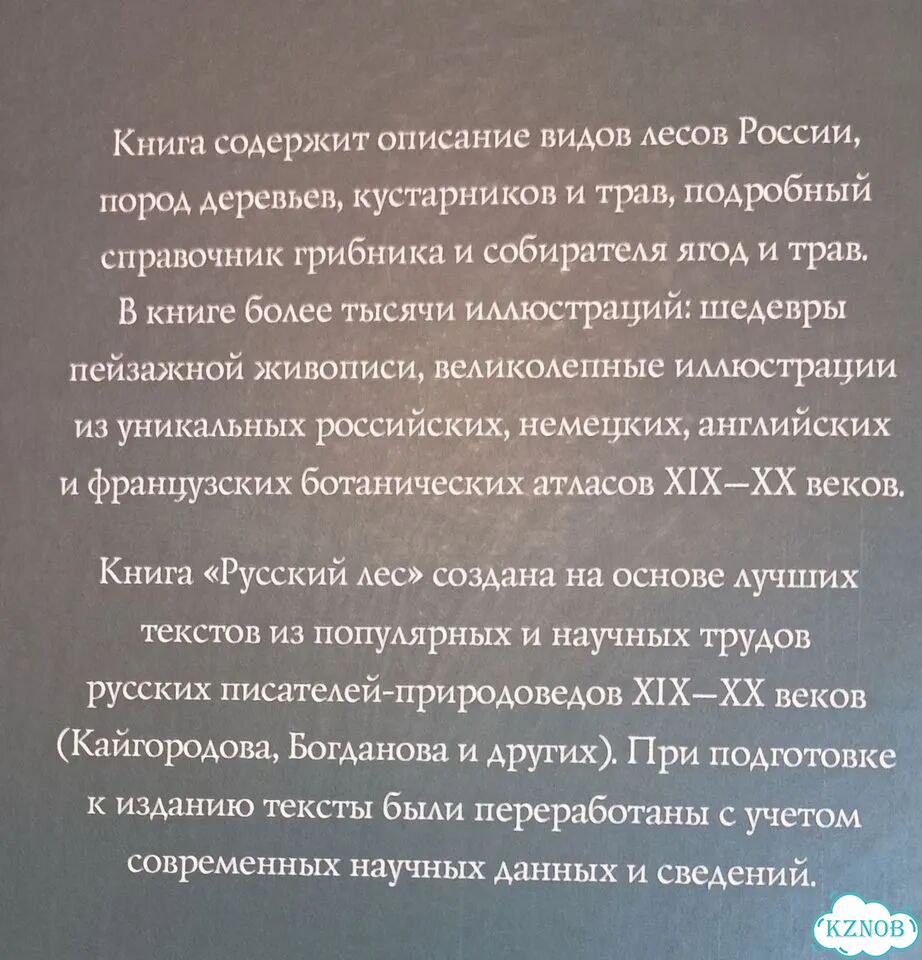 Русский лес: Грибы и ягоды фото 2
