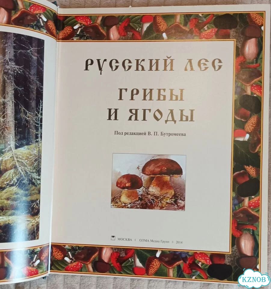Русский лес: Грибы и ягоды фото 3