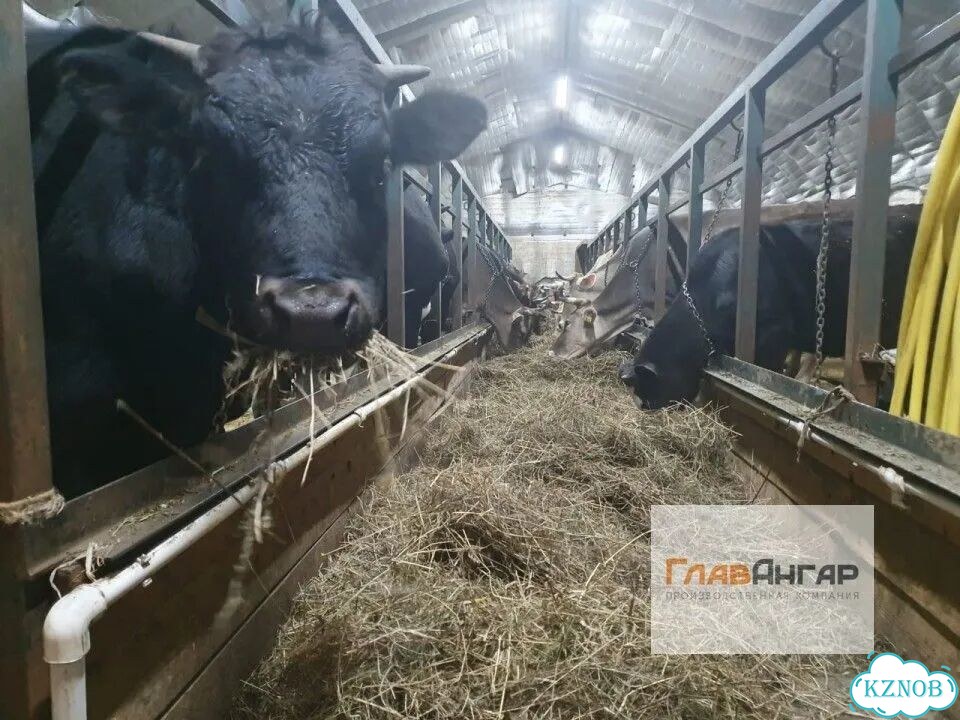 Быстровозводимый ангар от производителя фото 7